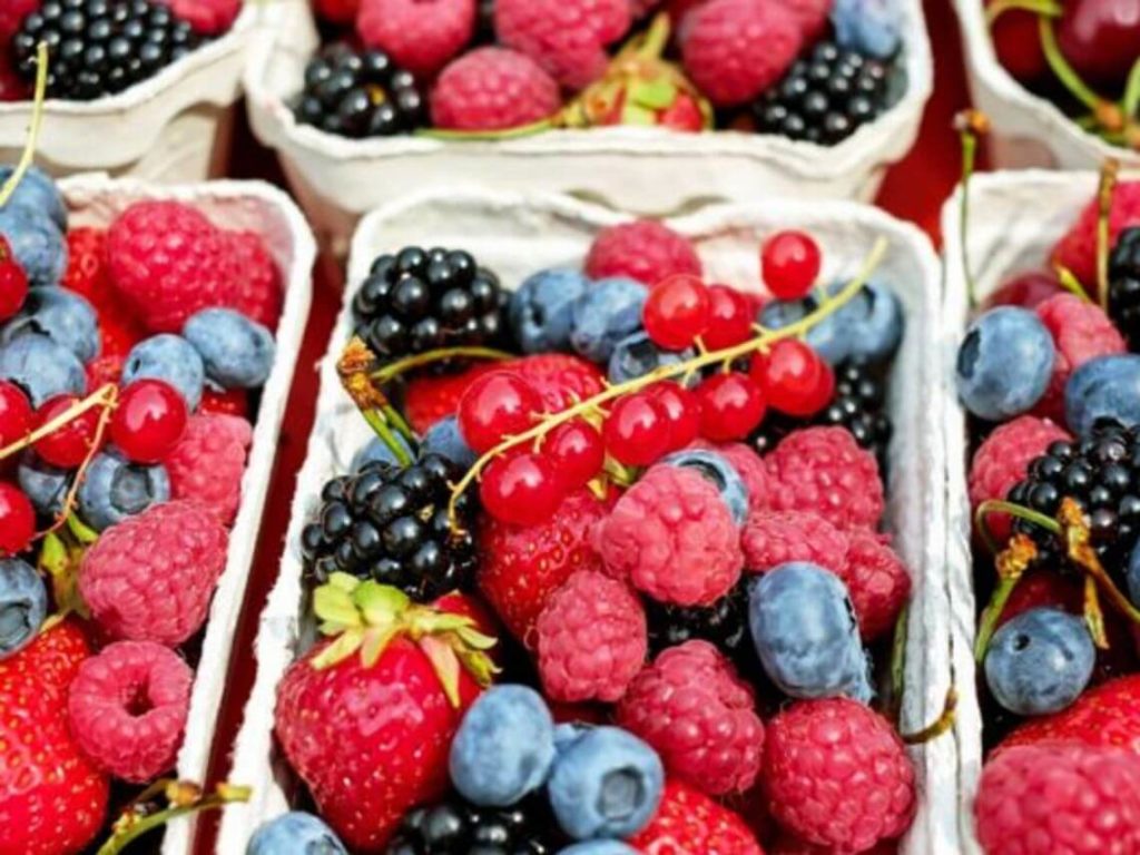 Several varieties of berries in wicker baskets ready for rehabilitation therapy