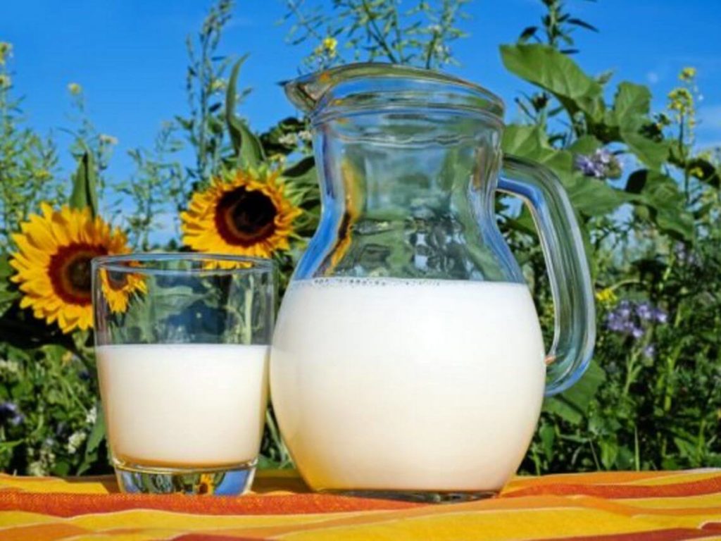 Two glass pitchers containing milk calcium